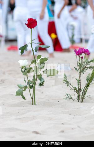 Fleurs en l'honneur d'iemanja, sur le sable de la plage de Copacabana à Rio de Janeiro. Banque D'Images