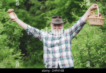 Rassemblement des champignons chasse aux champignons.Collecte de champignons dans la forêt.Printemps et loisirs.Grand-pèreHomme coupant un champignon blanc.Retraité Banque D'Images