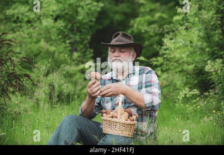 Grand-père heureux avec des champignons dans le champignon de chasse de bucket.Retraité avec panier de champignons et une expression faciale surprise. Banque D'Images