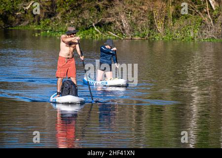 Couple paddleboard au parc régional de Wekiwa Springs à Apopka, Floride, près d'Orlando.(ÉTATS-UNIS) Banque D'Images