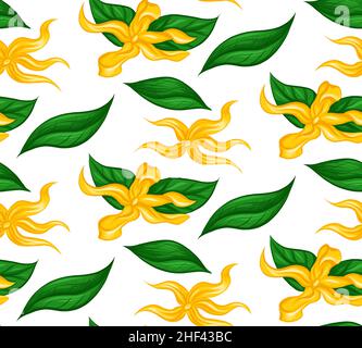 Motif sans couture avec fleurs tropicales ylang ylang et feuillage sur fond blanc.Texture vectorielle avec décoration florale de style dessin animé.Paroi naturelle Illustration de Vecteur