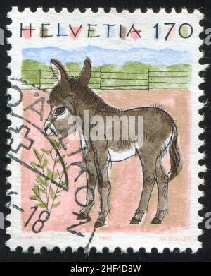 SUISSE - VERS 1993: Timbre imprimé par la Suisse, montre Donkey, vers 1993 Banque D'Images