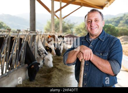 fermier mâle posant sur fond de vaches dans le stalle Banque D'Images