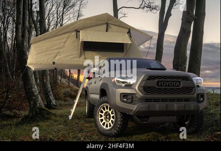 Toyota Tacoma avec une tente dans un camp forestier Banque D'Images