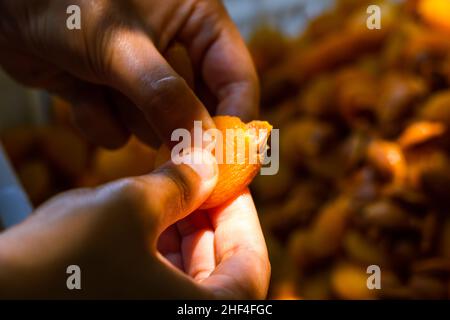 production d'abricots séchés. Femme extrait la graine pour sécher l'abricot. Banque D'Images