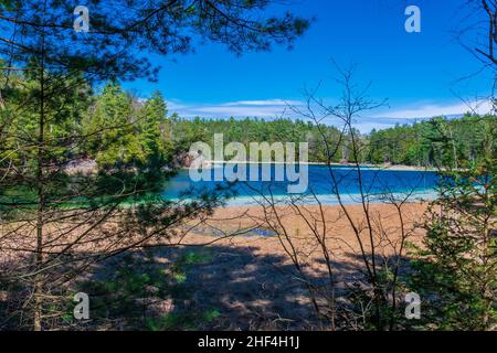 McGinnis Lake North Kawarthas Ontario Canada au printemps Banque D'Images