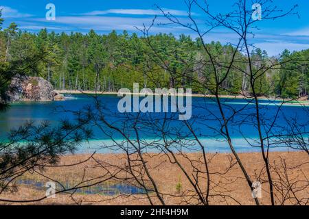 McGinnis Lake North Kawarthas Ontario Canada au printemps Banque D'Images