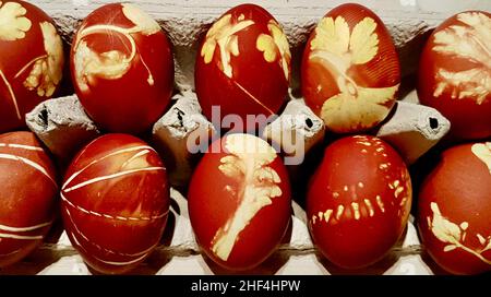 Gros plan oeufs de Pâques naturellement colorés avec des peaux d'oignon et des fleurs dans le carton d'oeufs. Banque D'Images