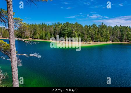 McGinnis Lake North Kawarthas Ontario Canada au printemps Banque D'Images