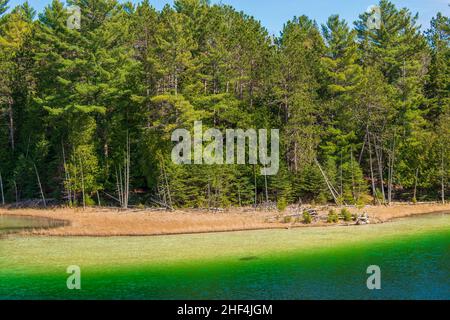 McGinnis Lake North Kawarthas Ontario Canada au printemps Banque D'Images