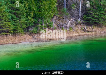 McGinnis Lake North Kawarthas Ontario Canada au printemps Banque D'Images