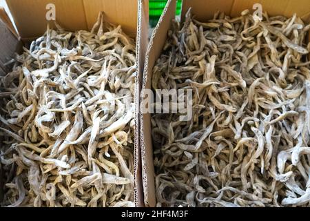 Poissons salés capturés par les pêcheurs locaux qui sont séchés au soleil pour qu'ils soient durables et peuvent durer longtemps, pas pourrir.Saler et sécher est Banque D'Images