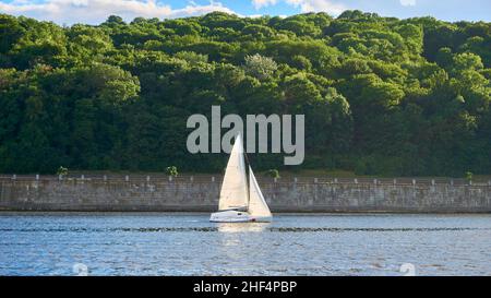 Petit yacht sur le fond de la côte avec un mur de pierre et une forêt Banque D'Images