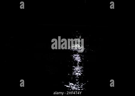 26th JUILLET 2021 - TOKYO, JAPON : avant le début de la session de natation aux Jeux Olympiques de Tokyo 2020 (photo de Mickael Chavet/RX) Banque D'Images