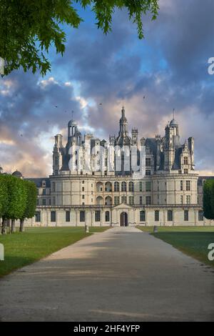 Le Château de Chambord, Centre-Val de Loire, un château de la Renaissance française (1519-1547).Chambord est le plus grand château de la vallée de la Loire; il était Banque D'Images