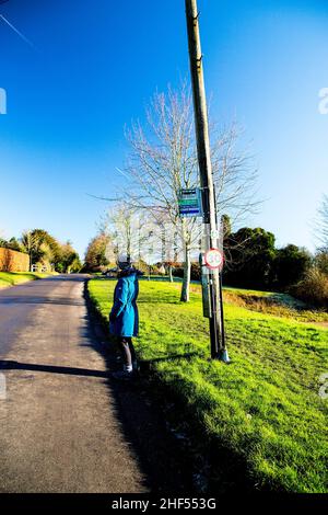 Une femme au pelage bleu attend dans un abri de bus dans les bois de la communauté à Ardington, Wantage, Oxfordshire, Royaume-Uni, lors d'une journée d'hiver ensoleillée. Banque D'Images