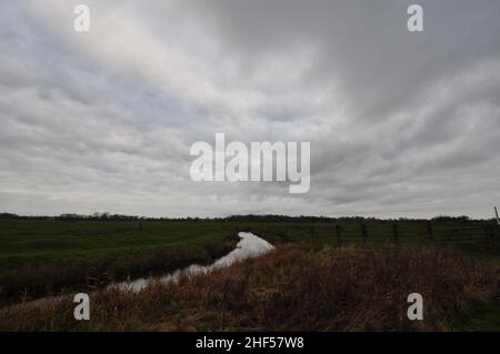 Sur les marais de Halvergate le long du chemin long de Weaver's Way, Norfolk Broads, Angleterre, Royaume-Uni Banque D'Images