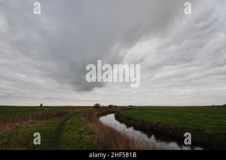 Sur les marais de Halvergate le long du chemin long de Weaver's Way, Norfolk Broads, Angleterre, Royaume-Uni Banque D'Images