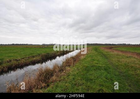 Sur les marais de Halvergate le long du chemin long de Weaver's Way, Norfolk Broads, Angleterre, Royaume-Uni Banque D'Images