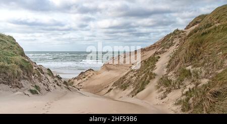 Accès à la plage dans les dunes de la côte danoise de la mer du Nord à Jutland, près de Norre Vorupor Banque D'Images