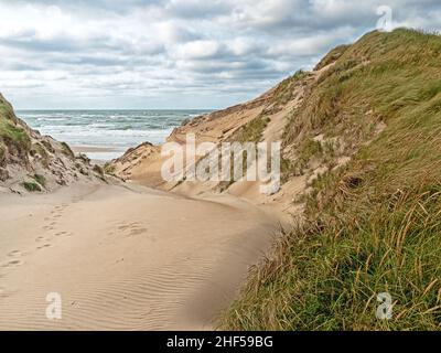 Accès à la plage dans les dunes de la côte danoise de la mer du Nord à Jutland, près de Norre Vorupor Banque D'Images