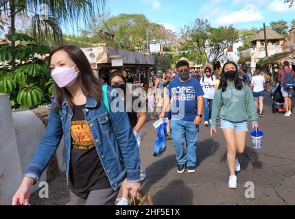 Lake Buena Vista, États-Unis.30th décembre 2021.Les clients masqués pour le protocole COVID quittent la région du village de Harambe à Disneys Animal Kingdom, le jeudi 30 décembre 2021, puisque les quatre parcs thématiques de Walt Disney Worlds en Floride sont remplis à pleine capacité pour les Years vacances de la Saint-Sylvestre à Lake Buena Vista, en Floride, à compter du jeudi après-midi,Animal Kingdom était le seul parc où des réservations étaient disponibles pour les détenteurs de billets, les clients du complexe Disney et les passe-livres annuels pour la Saint-Years, le 31 janvier.(Photo de Joe Burbank/Orlando Sentinel) crédit: SIPA USA/Alay Live News Banque D'Images