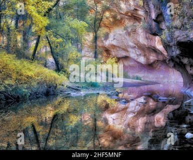 La couleur de l'automne sur la fourche de l'Oak Creek. Red Rock Secret Mountain Wilderness, Arizona. Banque D'Images