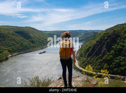 Un randonneur bénéficie de la vue sur la vallée centrale du Rhin au soleil Banque D'Images