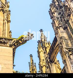 sculpture de gargouille laid au dôme de cologne Banque D'Images