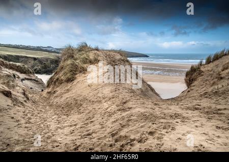 Dommages graves causés par l'activité humaine au système fragile de dunes de sable délicates de Crantock Beach, à Newquay, en Cornwall. Banque D'Images