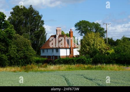 Chalet typique de Wealden avec des intempéries peintes en blanc et champ de jeune blé au début de l'été entre Capel et Tudeley, Kent, Angleterre Banque D'Images