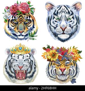 Illustration aquarelle de tigres dans des couronnes de feuilles d'automne, de pivoines et d'une couronne dorée Banque D'Images