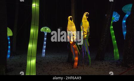 Pakruojis Manor, Lituanie - 8 janvier 2022 : les sculptures de lanterne apportent le toucher du pays des merveilles, un monde d'illusions et de magie, des millions d'ampoules à Severa Banque D'Images