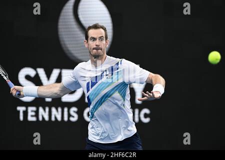 14th janvier 2022 : Ken Rosewall Arena, parc olympique de Sydney, Sydney, Australie ; Sydney tennis Classic,Demi-finale du jour 6 : Andy Murray, de Grande-Bretagne, se prépare à frapper un front lors de son match semi-final contre Reilly Opelka, des États-Unis Banque D'Images