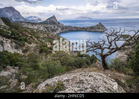 Pins et cap Kapchik en arrière-plan.Magnifique paysage sur la mer Noire.Novyi Svit, Crimée, Sudak. Banque D'Images