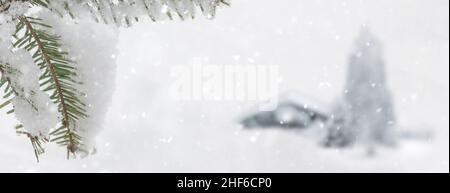 Branche de sapin enneigée devant un paysage d'hiver flou Banque D'Images