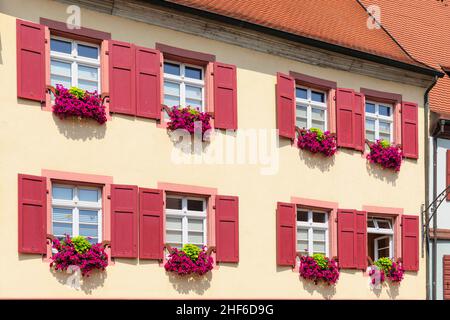 Burkheim am Kaiserstuhl, Breisgau, Forêt-Noire du Sud, Bade-Wurtemberg, Allemagne Banque D'Images