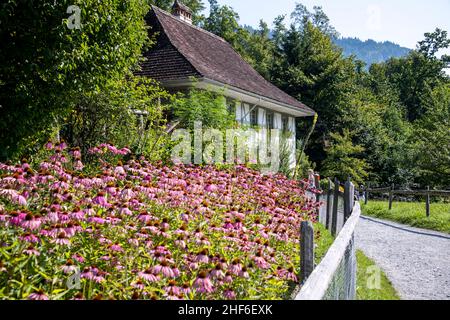 Musée d'histoire locale de Ballenberg, Brienz, Suisse Banque D'Images