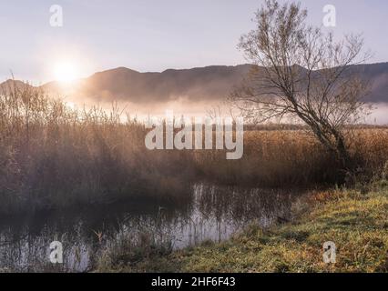 Lever du soleil dans les jardins de Murnauer près d'Ohlstadt, Murnau, Bavière, Allemagne Banque D'Images