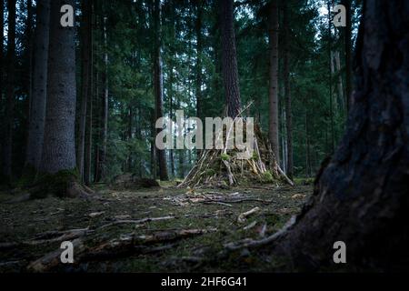 Cabane dans les bois Banque D'Images