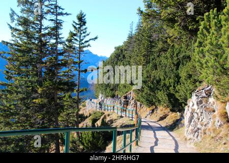 Randonnée de Walchensee à l'Herzogstand, 1731 M., pré-Alpes, Allemagne, Bavière,Haute-Bavière, Tölzer Land, sentier de randonnée atmosphérique vous fait envie de faire de la randonnée Banque D'Images