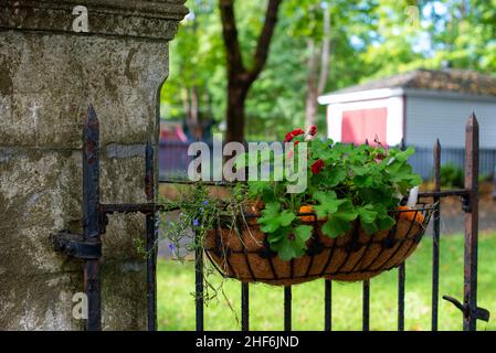 Une boîte à fleurs est suspendue à une clôture et une barrière en métal de fer forgé qui est fixée à un grand pilier en béton carré d'époque.Il y a un jardin à l'arrière Banque D'Images