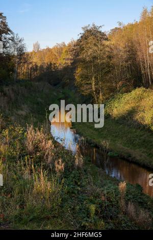 Bottrop, Rhénanie-du-Nord-Westphalie, Allemagne, Boye renatured en automne, le affluent de l'Emscher, a été transformé en eau quasi naturelle, protection contre les inondations par de nouvelles zones d'inondation, le Boye est maintenant exempt d'eaux usées après la construction d'un égout parallèle,Appartient au réseau fluvial de l'Emscher et donc, pour la conversion de l'Emscher, était auparavant un égout ouvert, au-dessus de la terre d'eaux usées, un égout mélangé avec des eaux de surface et des eaux usées. Banque D'Images
