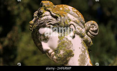 Grèce, Iles grecques, Iles Ioniennes, Corfou, Achilleion,Résidence de l'impératrice Sissis, construite en 1889, architecture basée sur la mythologie grecque, jardin, tête femelle d'une statue de marbre surcultivée avec de la mousse, fond vert hors foyer Banque D'Images