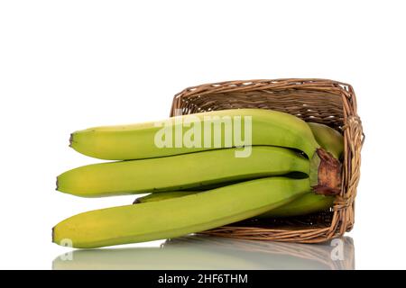 Un bouquet de bananes vertes biologiques dans un panier, en gros plan, isolées sur du blanc. Banque D'Images