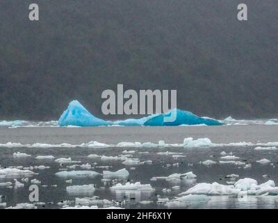 Les icebergs flottent dans le Parque Nacional Laguna San Rafael, Patagonie, Chili Banque D'Images