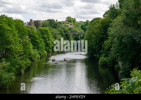 14th juillet 2019 - Durham, Angleterre, Royaume-Uni : les habitants et les touristes profitent du soleil sur la rivière Wear au centre-ville de Durham.Populaire pour Durham Banque D'Images