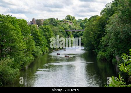 14th juillet 2019 - Durham, Angleterre, Royaume-Uni : les habitants et les touristes profitent du soleil sur la rivière Wear au centre-ville de Durham.Populaire pour Durham Banque D'Images