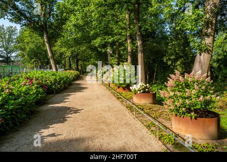 Parc du château de Moyland près de Bedburg-Hau, Kleve, Basse-Rhin, Rhénanie-du-Nord-Westphalie, Allemagne Banque D'Images