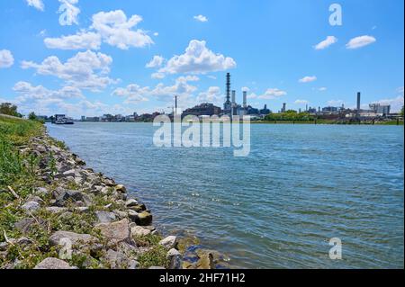 Rhin, BASF, usine chimique, été, Ludwigshafen am Rhein,Rhénanie Palatinat, Allemagne Banque D'Images